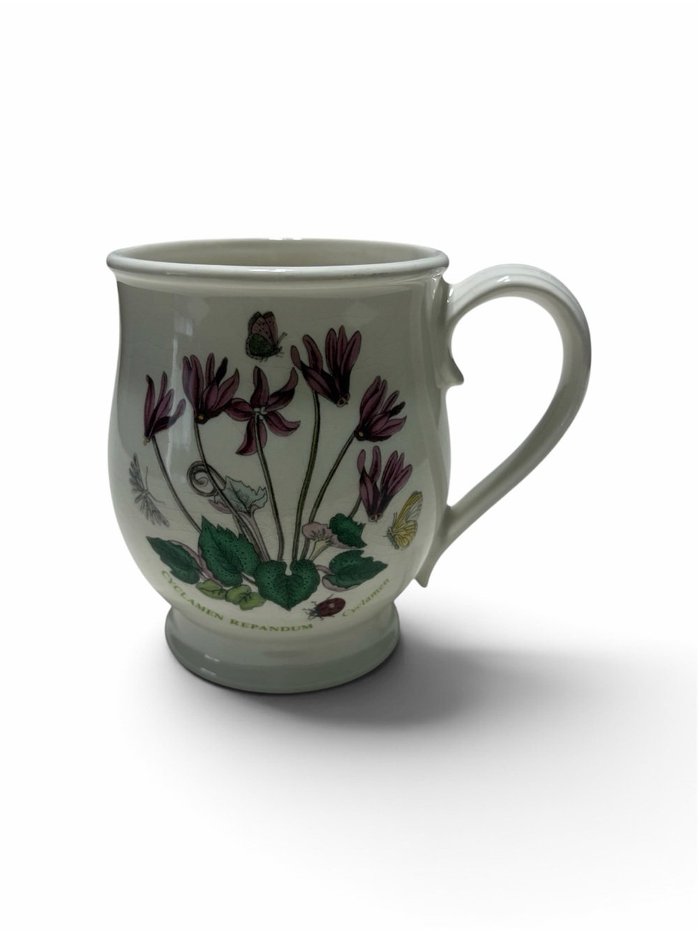 Portmeirion Botanic Garden Cyclamen Repandum Mug